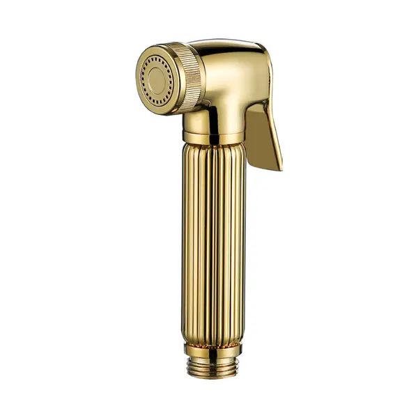 Tại sao bạn nên xem xét một máy phun BIDET cho phòng tắm của bạn: Hướng dẫn toàn diện